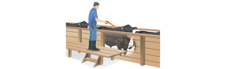 EID only-General Purpose