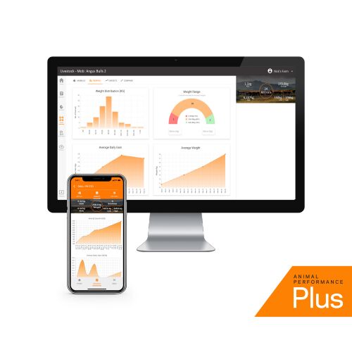 AP PLUS Analytics Desktop iPhone 500x500px-General Purpose AP PLUS Analytics Desktop iPhone 500x500px-General Purpose