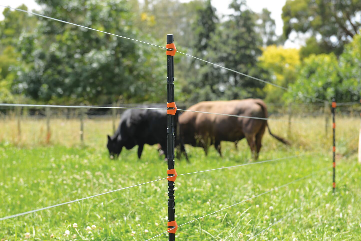 Insulated Line post on farm 