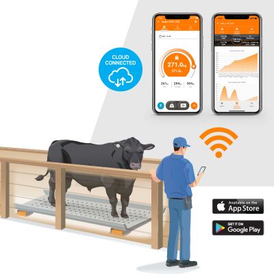 wireless weighing solution diagrams-1-General Purpose
