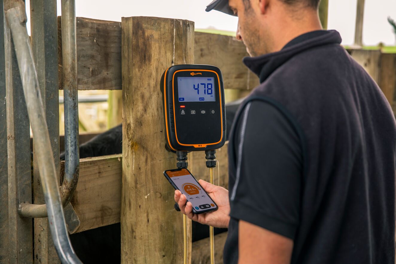 Farmer with Gallagher W-0 weigh scale