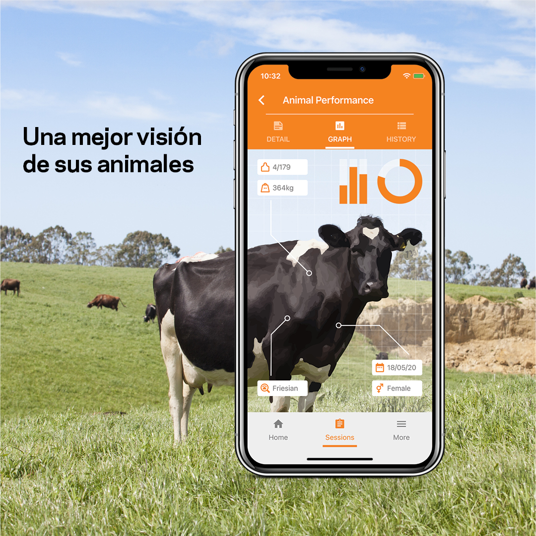 Una mejor visión de sus animales