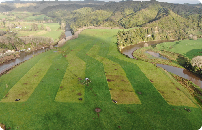 Aerial view of a green paddock divided into grazing cells, situated between two rivers.