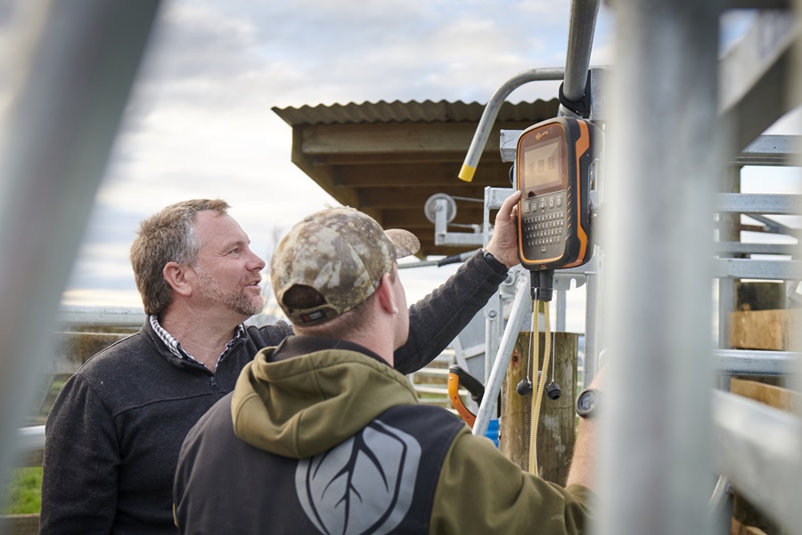 Willie McKnight - Te Miro