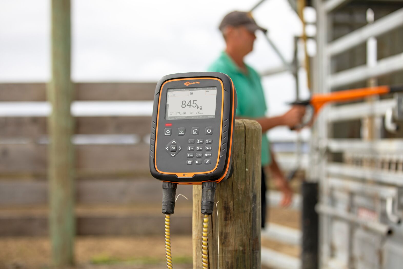 W1 weigh scale secured to a post