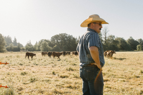 rotational grazing tracking y ranch