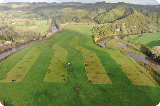 Aerial view of a green paddock divided into grazing cells, situated between two rivers.