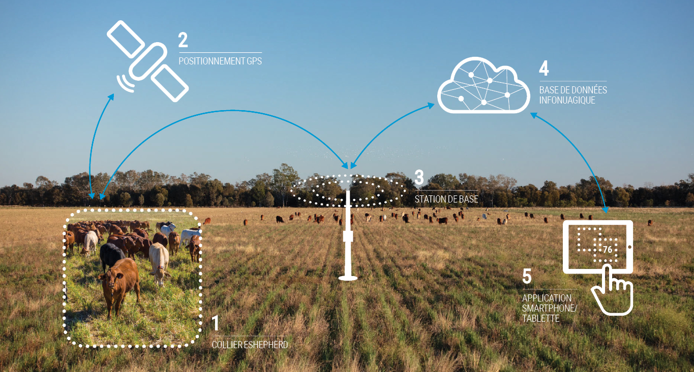 eShepherd comment ça marche eShepherd comment ça marche