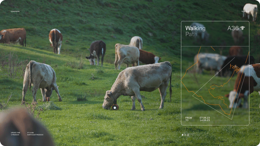 eShepherd Snippet - KM2