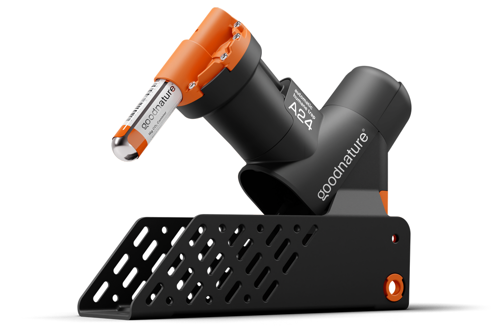 Goodnature smart trap Goodnature smart trap