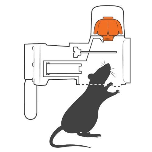 Goodnature trap how it works step 1 Goodnature trap how it works step 1