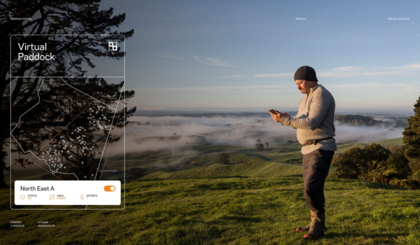 cellular news article 2