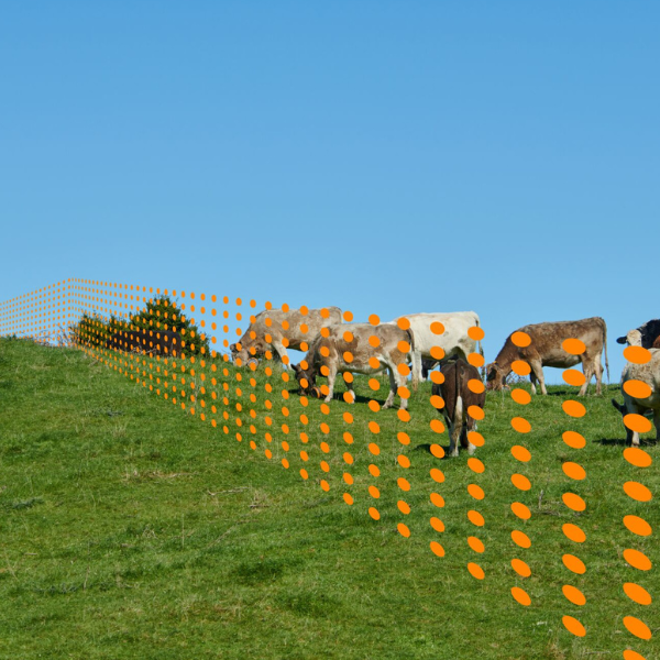 eShepherd new features article