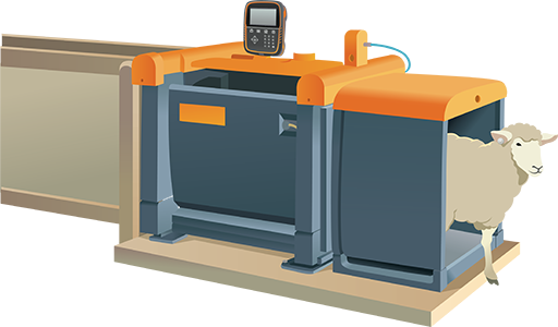 Gallagher Sheep Auto Drafter Gallagher Sheep Auto Drafter