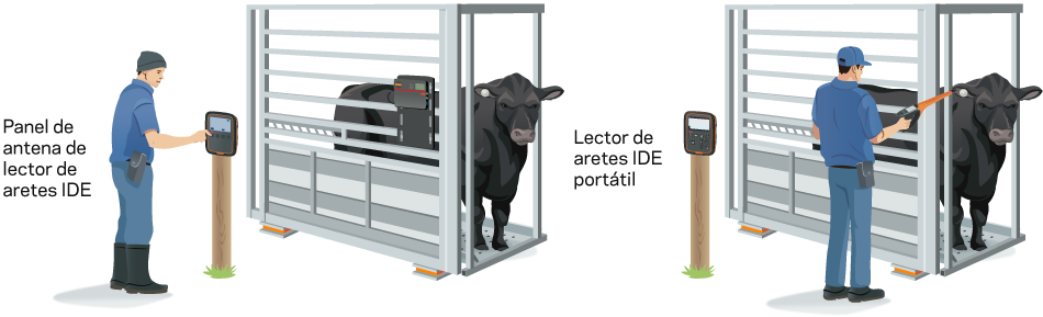 Lector de aretes portatil Lector de aretes portatil